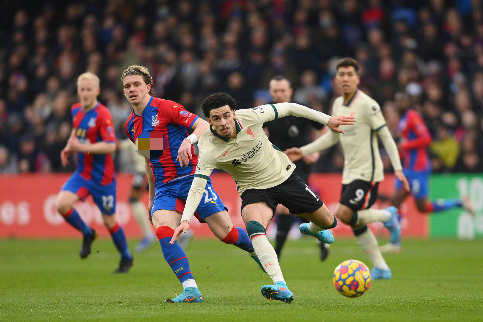 迷的支持与 迷的支持与